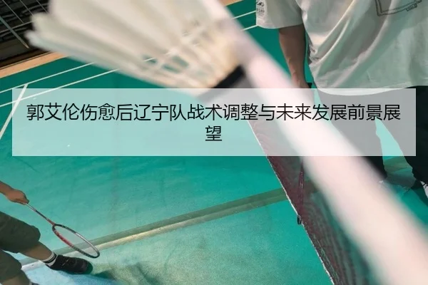 郭艾伦伤愈后辽宁队战术调整与未来发展前景展望