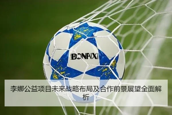 李娜公益项目未来战略布局及合作前景展望全面解析